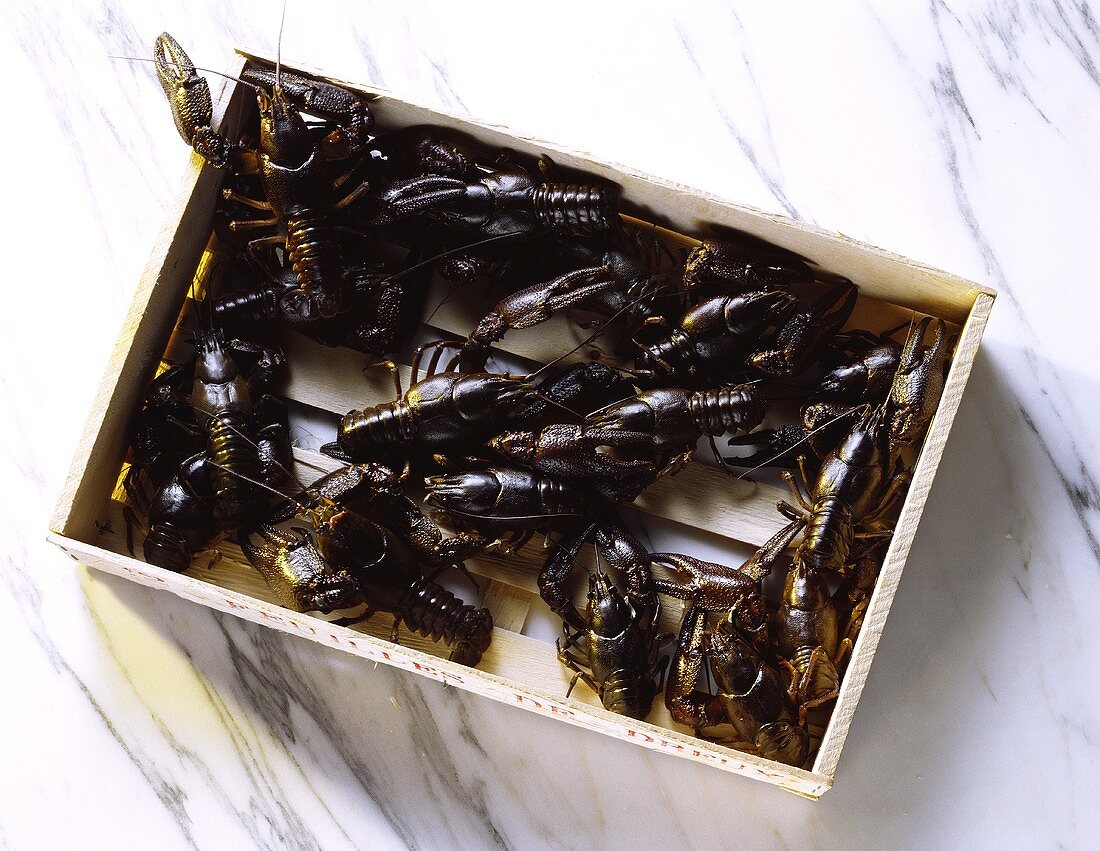 Box with fresh Freshwater Crayfish