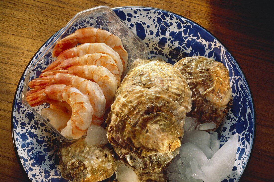 Austern auf Eis & gekochte Shrimps