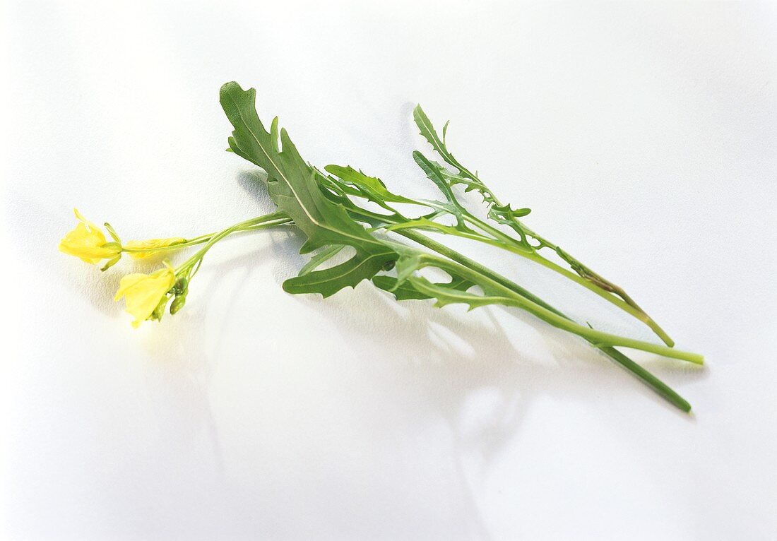 A few rocket leaves with flowers