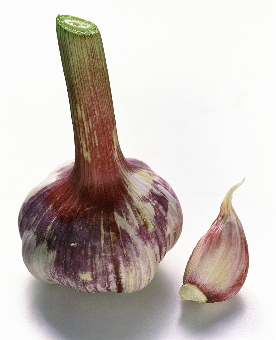 Fresh garlic and garlic clove
