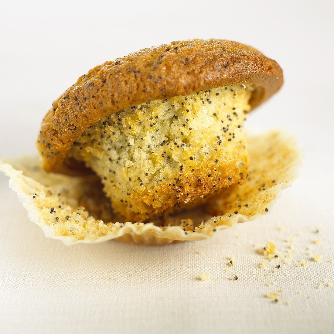 Lemon and poppy seed muffin