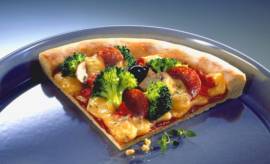 Piece of pizza in a pizza tray