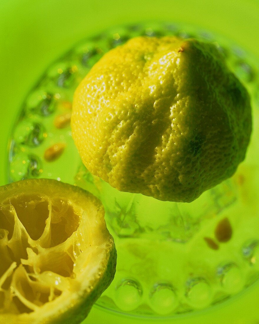 Lemon in citrus squeezer