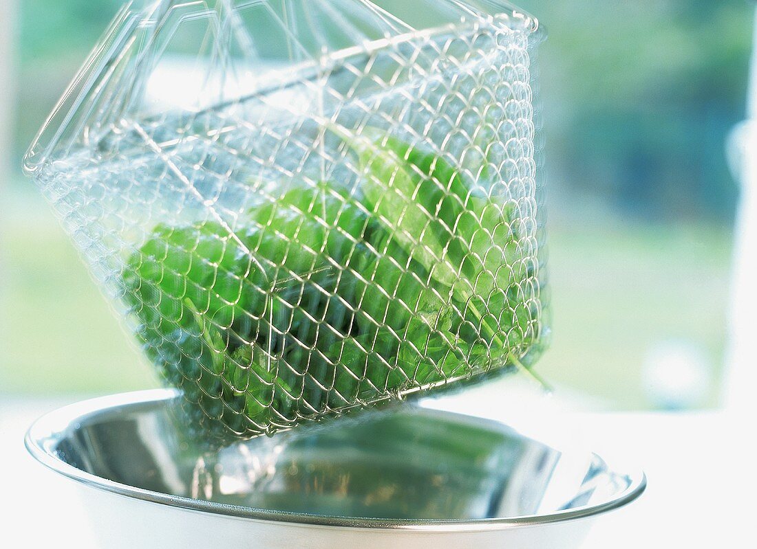 Young spinach leaves in colander