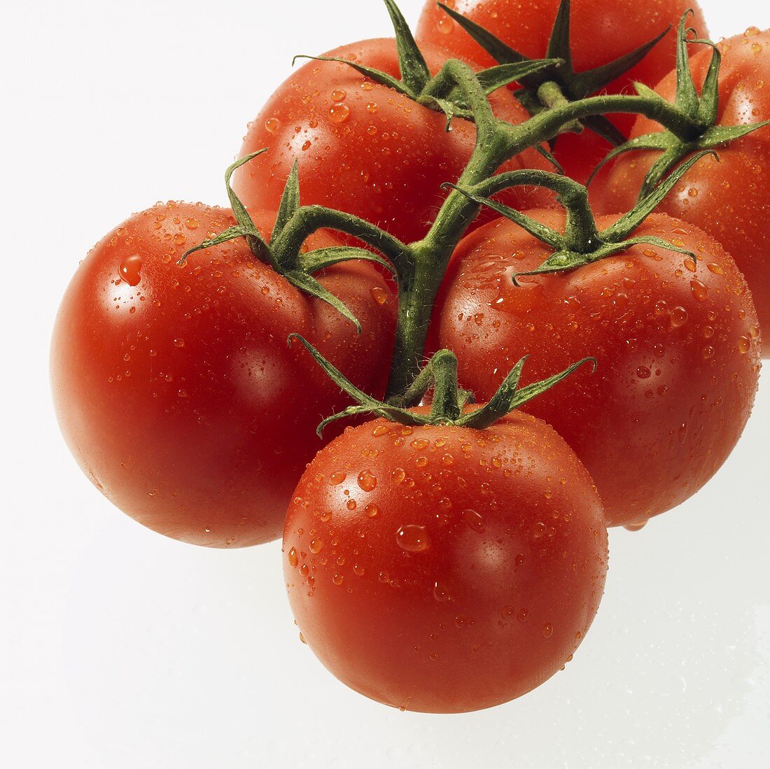 Tomatoes on the vine with drops of water