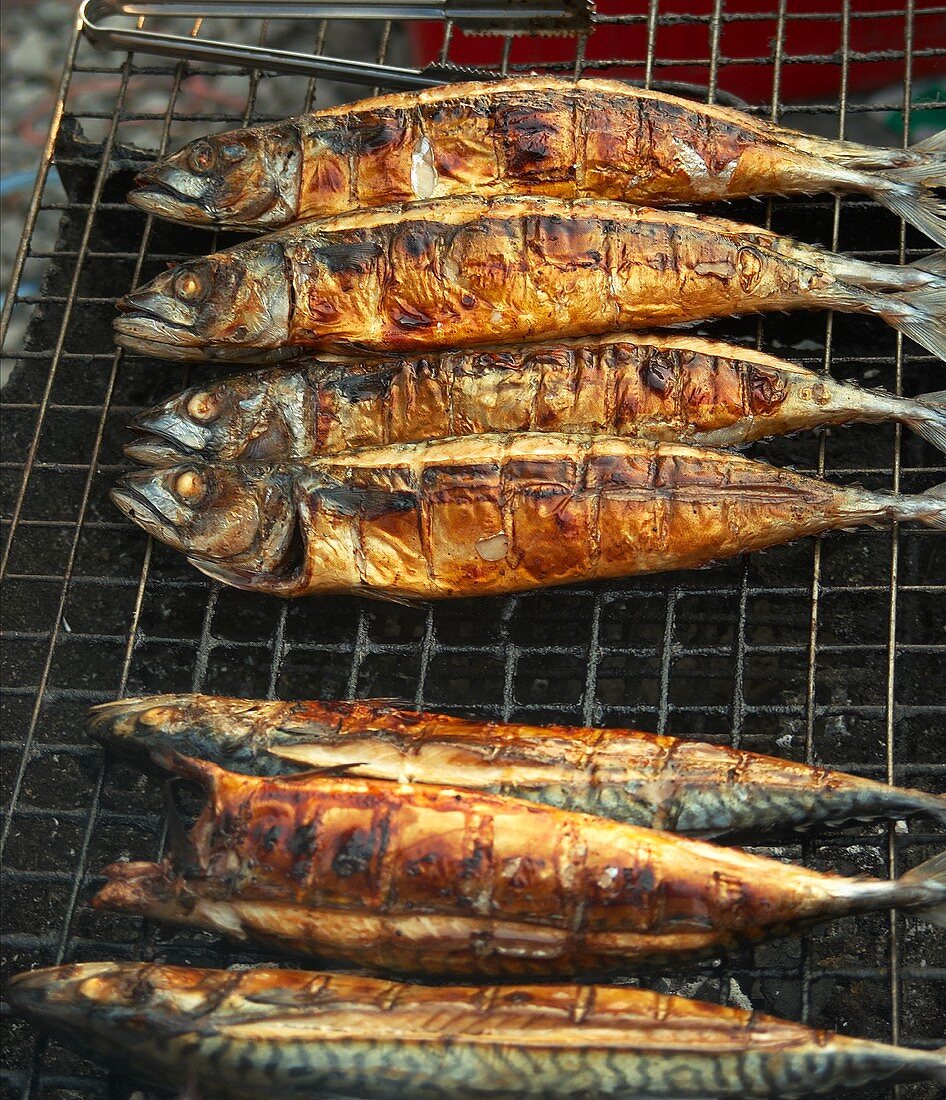 Several Saba fish on a grill rack