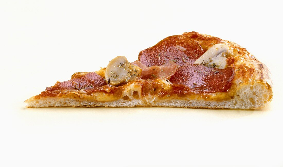 A piece of salami pizza