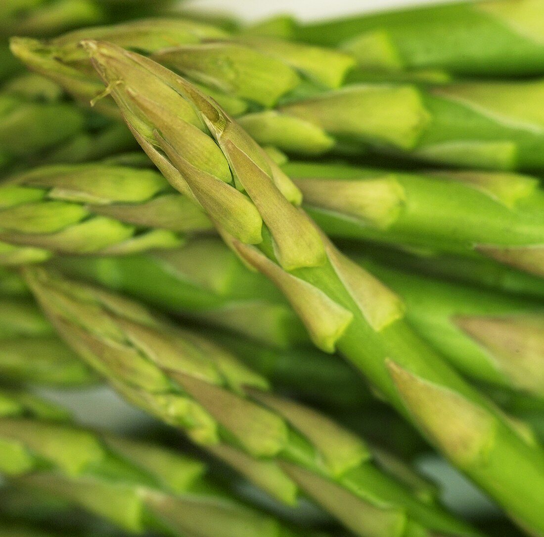 A bundle of green asparagus (filling the picture)