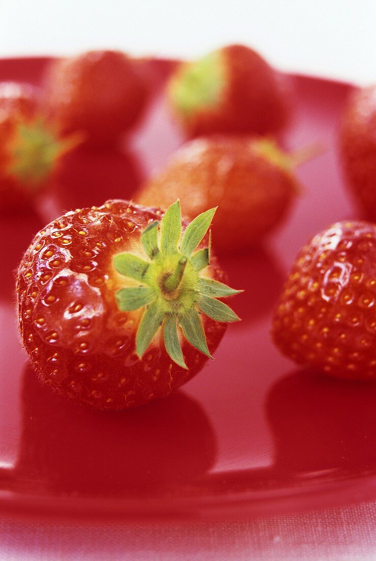 Frische Erdbeeren auf rotem Teller
