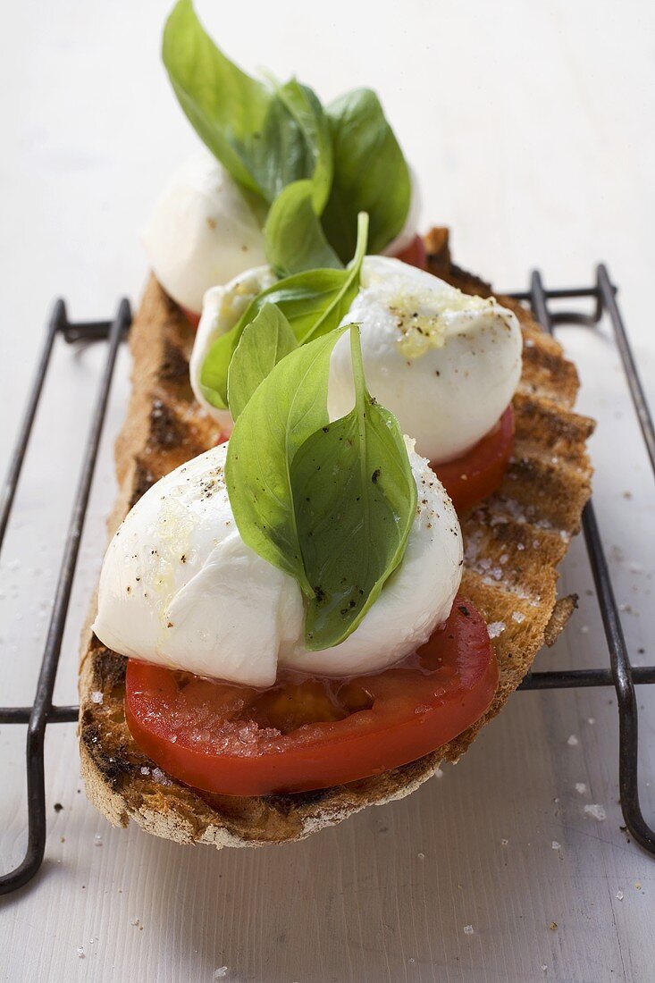 Röstbrot mit Tomaten, Mozzarella und Basilikum