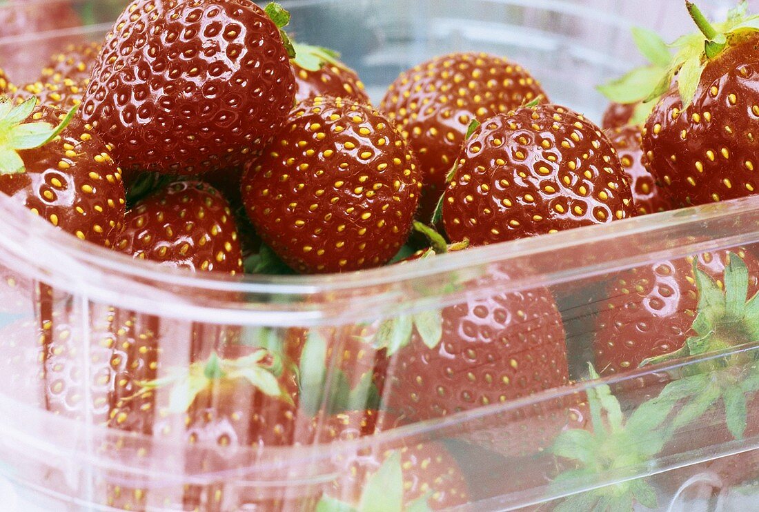 Fresh strawberries in plastic punnet