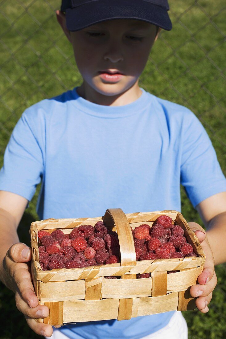 Boy holding woodchip basket of fresh raspberries