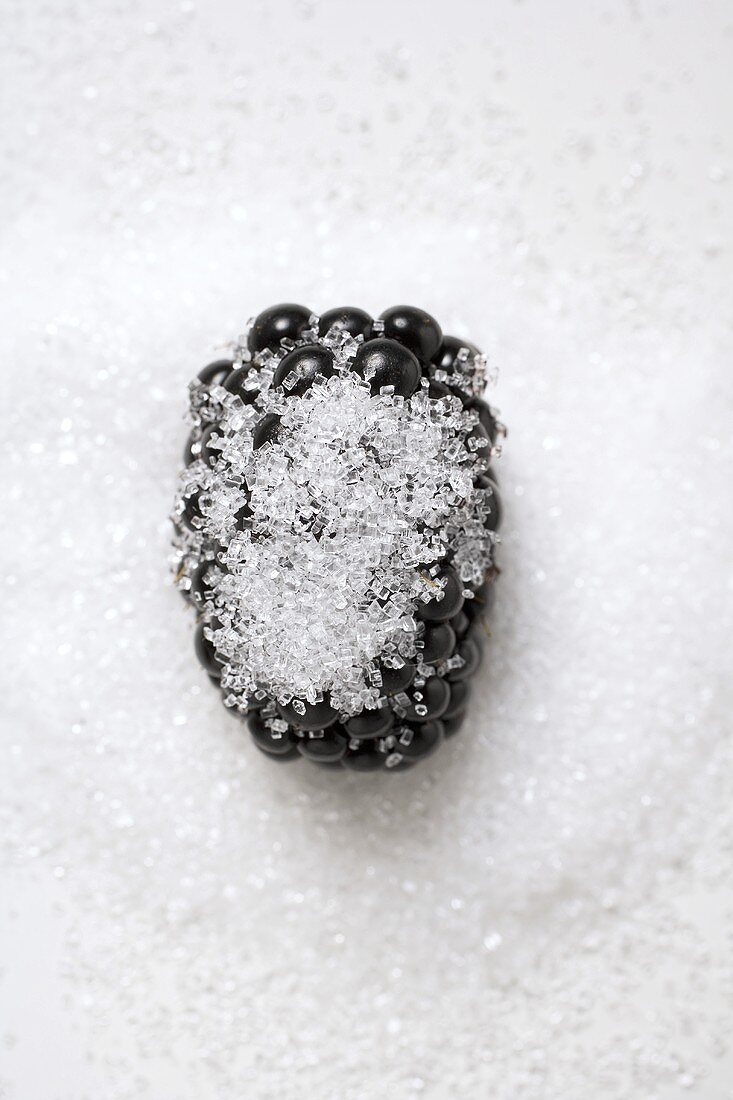 A blackberry with sugar