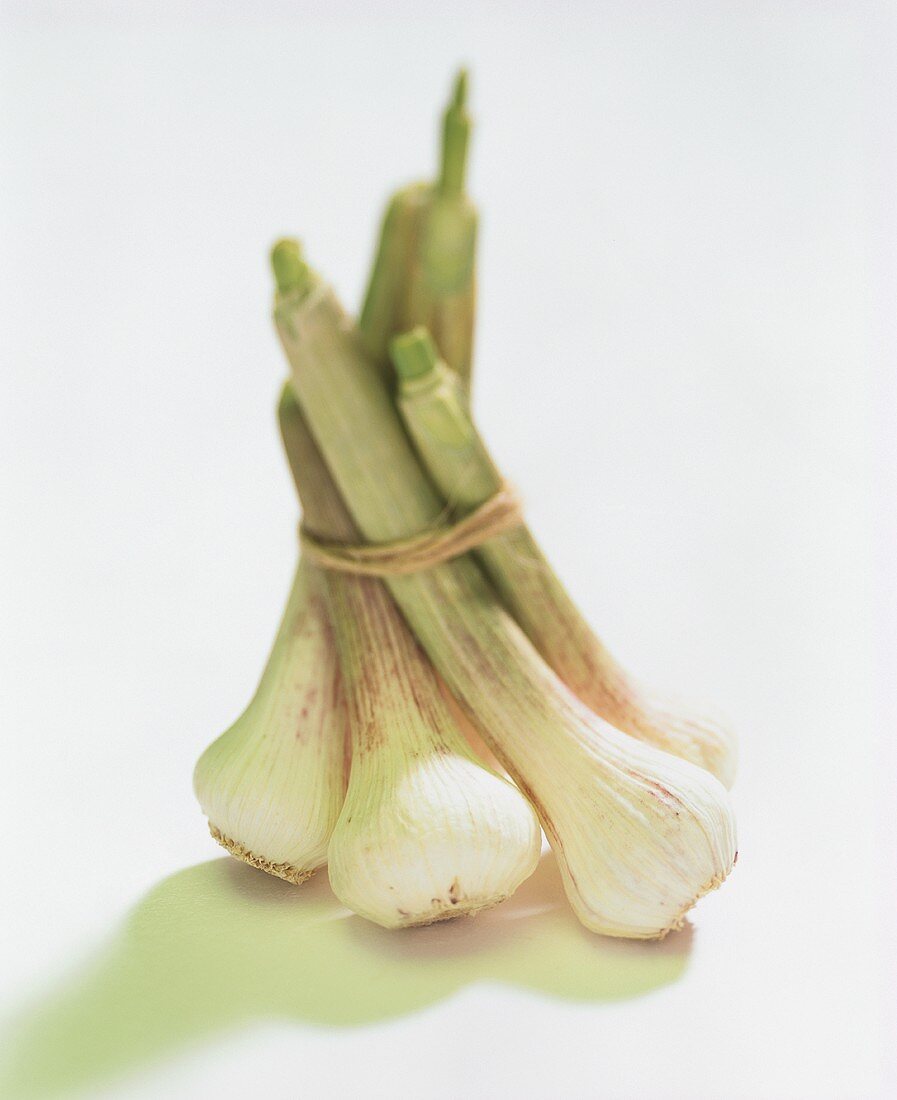 A bunch of fresh garlic