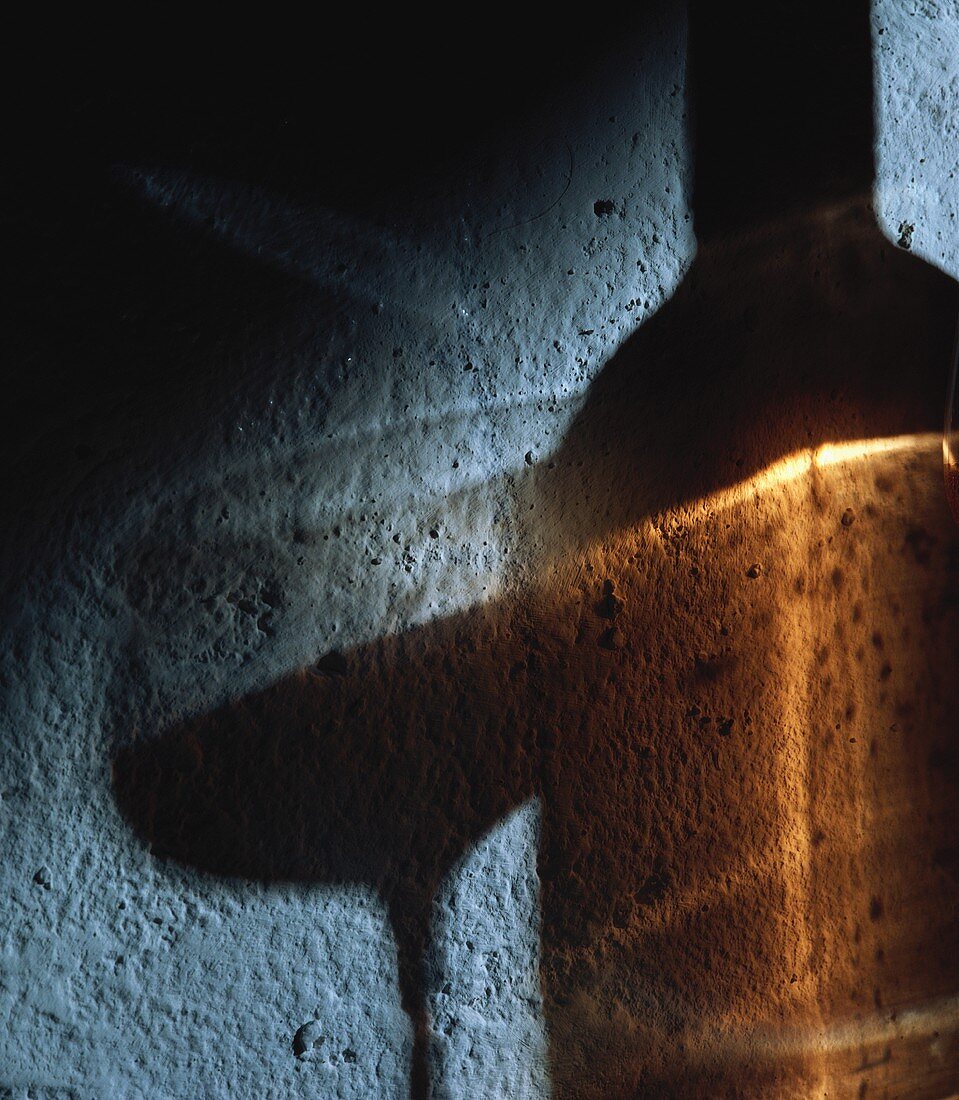 Shadow of glass of wine and wine bottle on wall