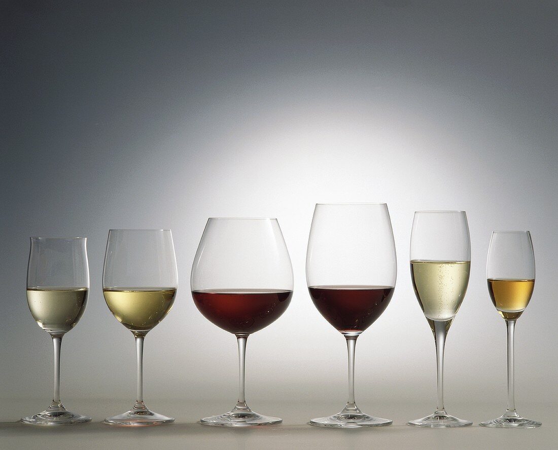 Various types of wine in glasses