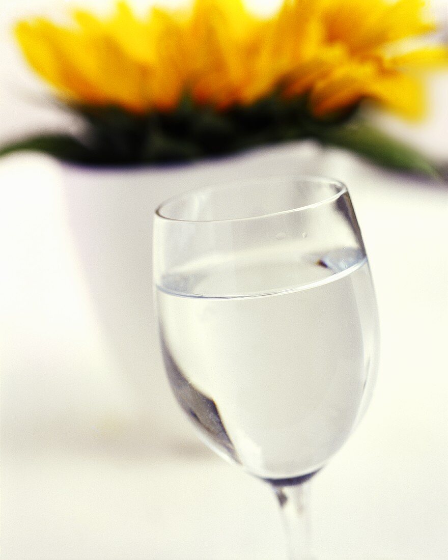 A glass of water in front of a flower