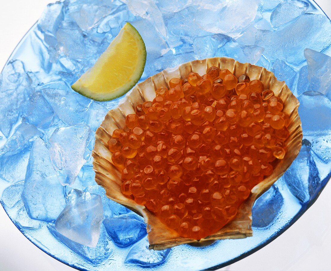 Lachskaviar in Jakobsmuschelschale auf Eis