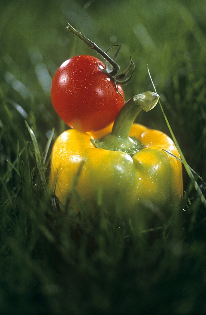 Eine gelbe Paprikaschote und eine Tomate im Gras