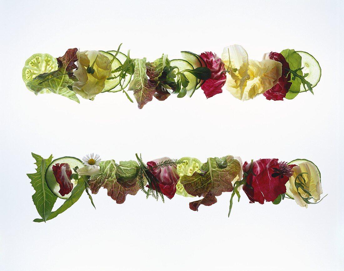 Blattsalate mit Wiesenblumen