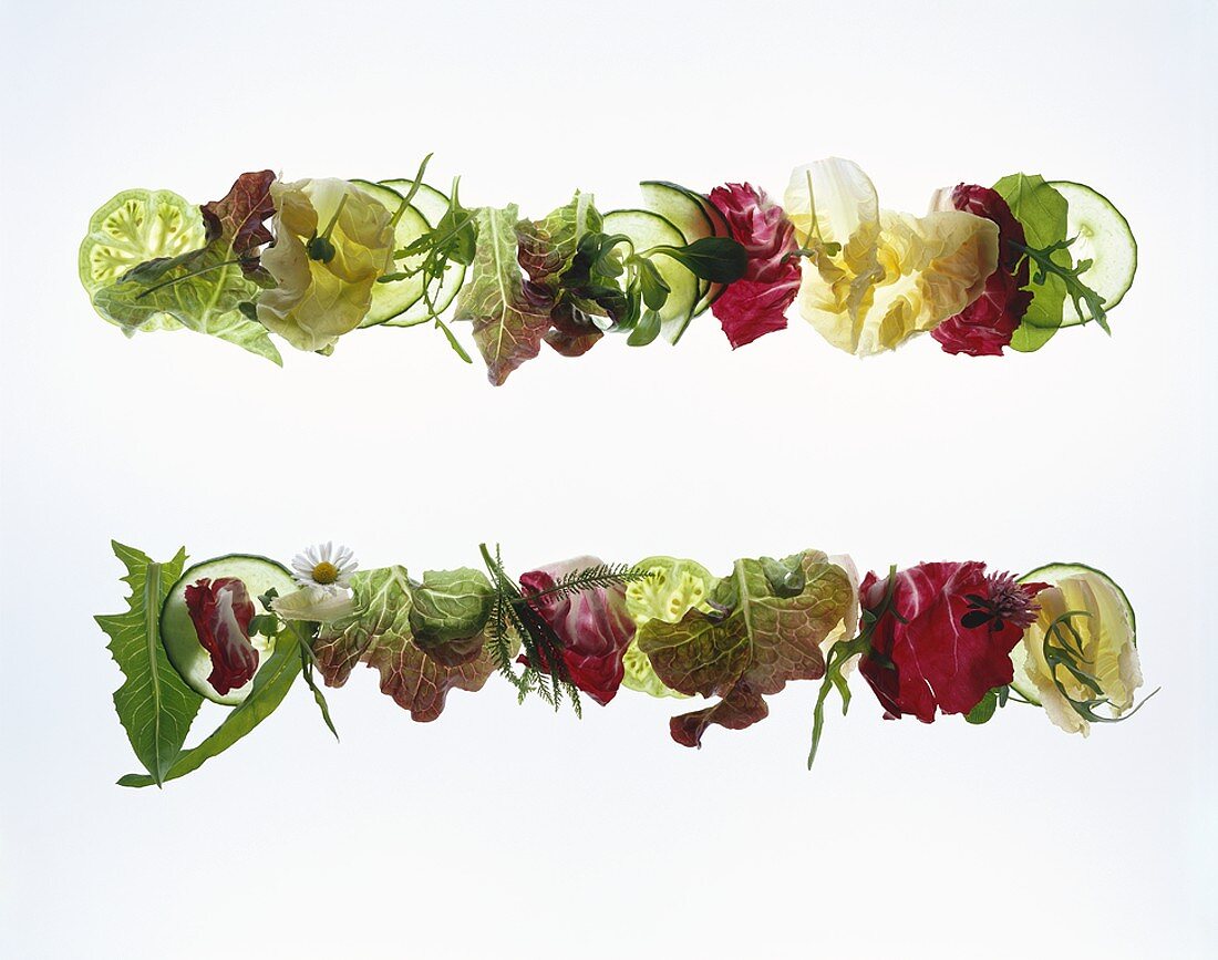 Salad leaves with meadow flowers