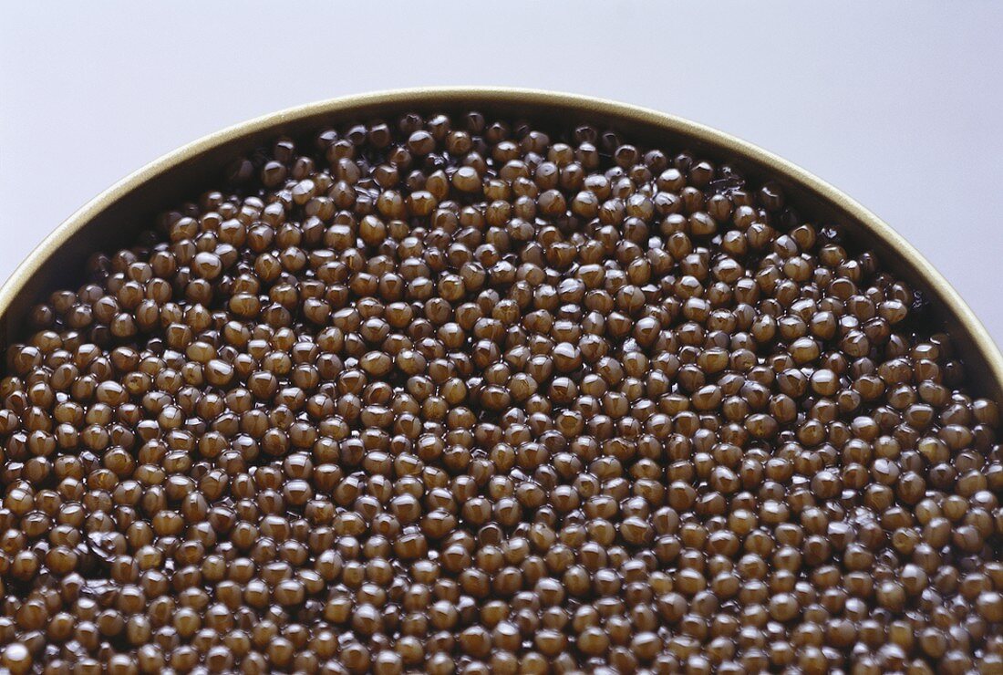 Black caviar in the tin (detail)