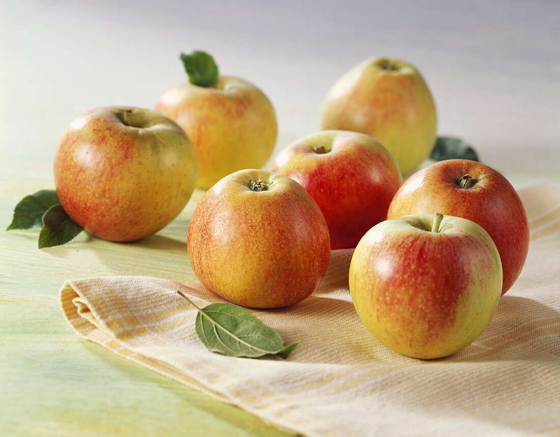 Seven apples with leaves (variety: Braeburn)