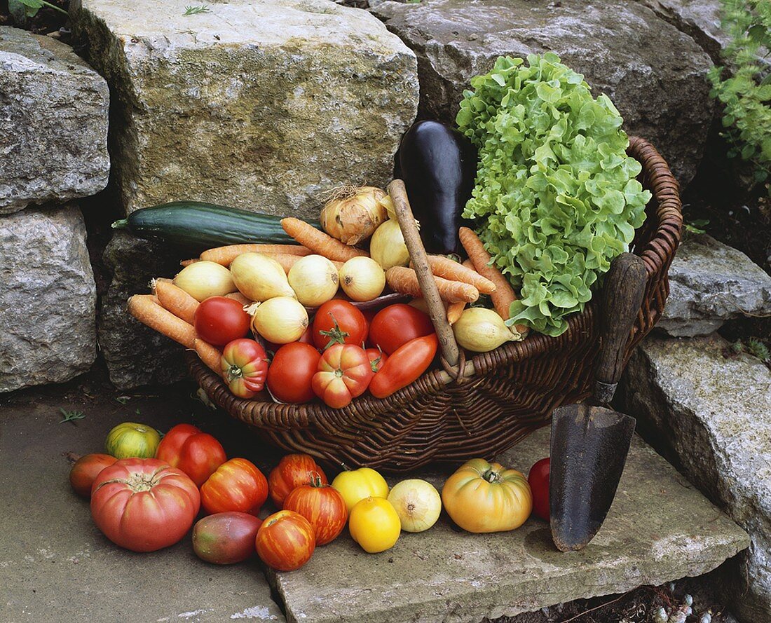 Various types of vegetables in basket with trowel