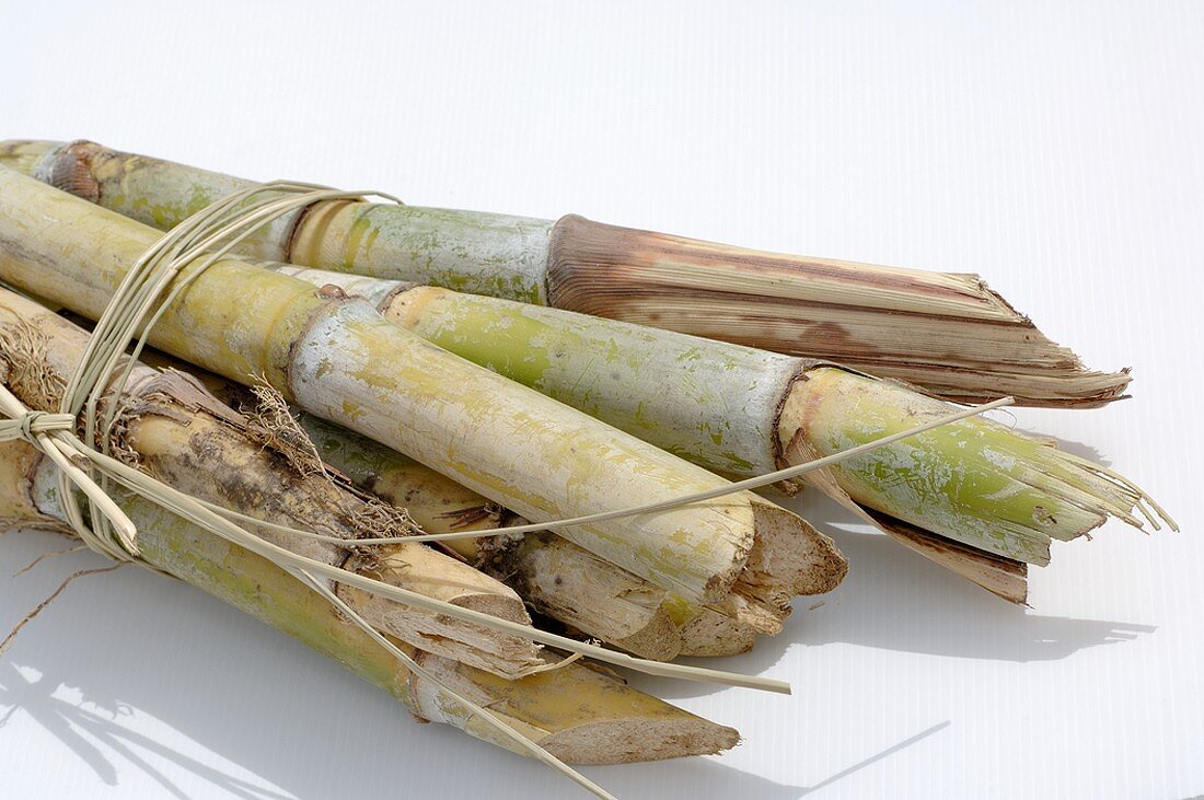 A bundle of sugar cane