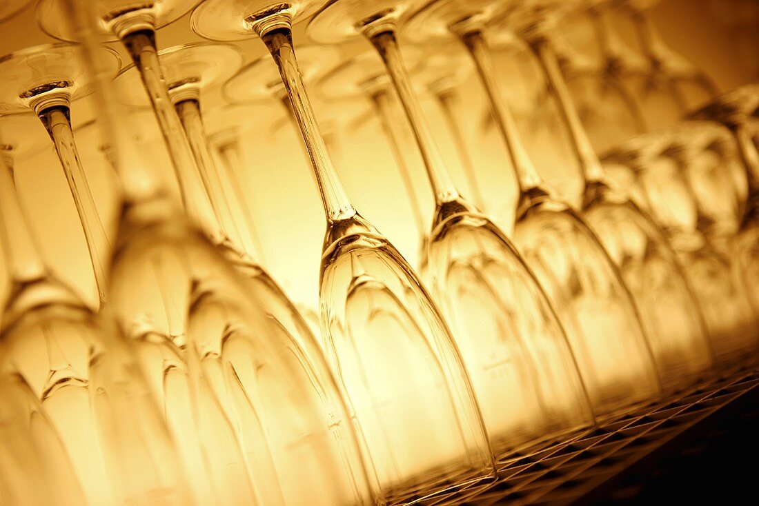 A row of sparkling wine glasses