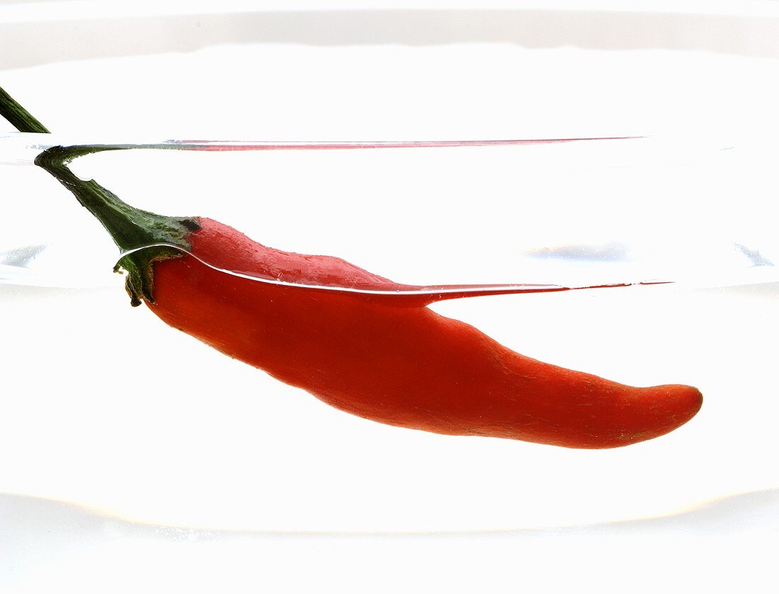Thai Red chilli floating in water