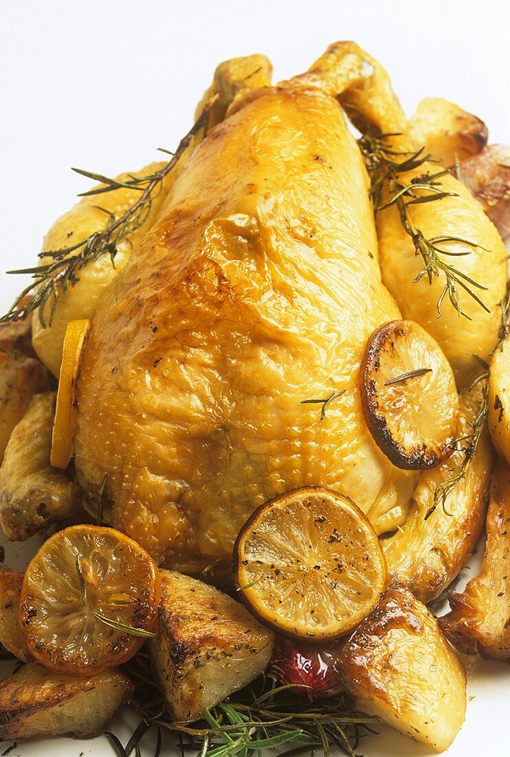 Roast chicken with lemon slices and rosemary