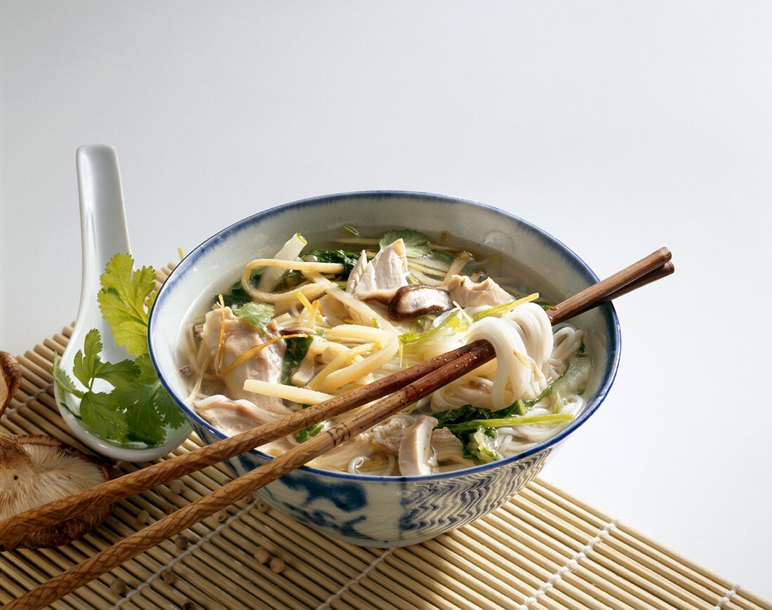 Chinesische Hühnersuppe mit Nudeln