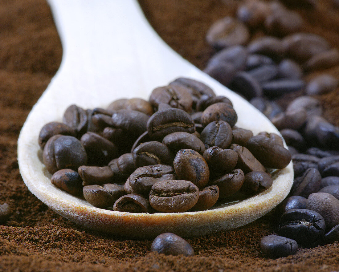 Coffee beans on wooden spoon