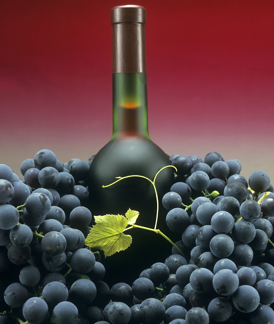 A bottle of red wine with black grapes