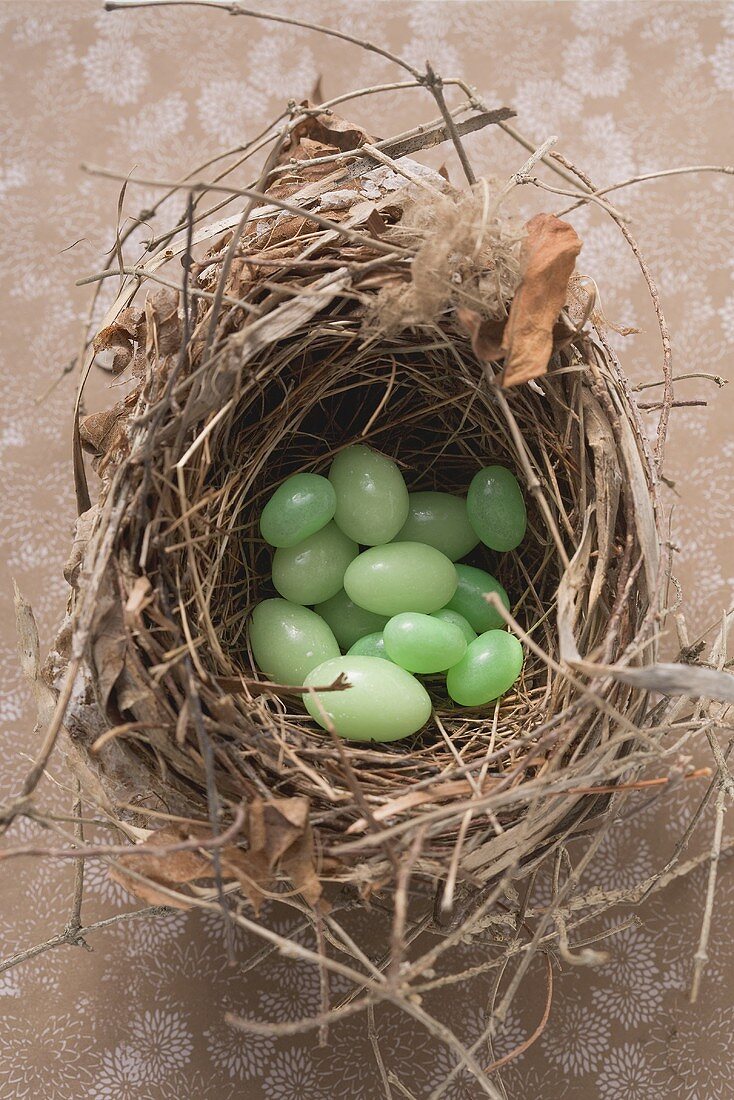 Green Easter eggs in an Easter nest (overhead view)