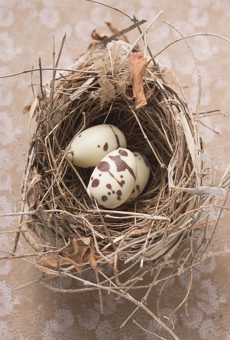 Osternest mit weissen Schokoeiern (Aufsicht)