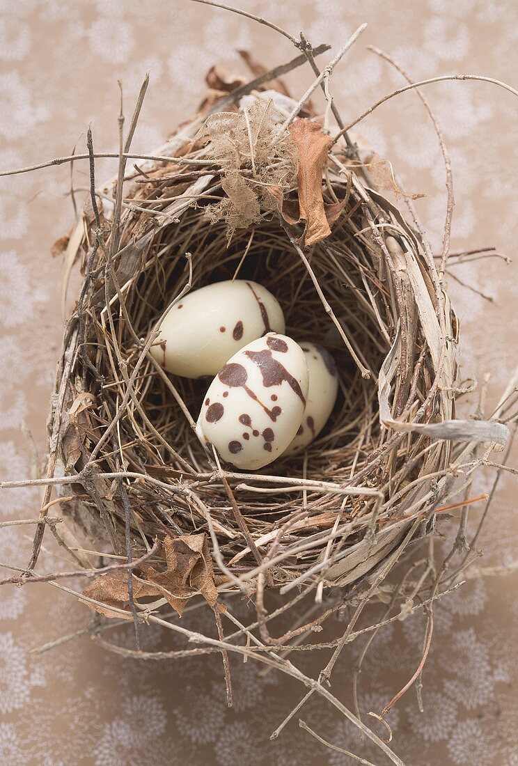 White chocolate eggs in Easter nest (detail)