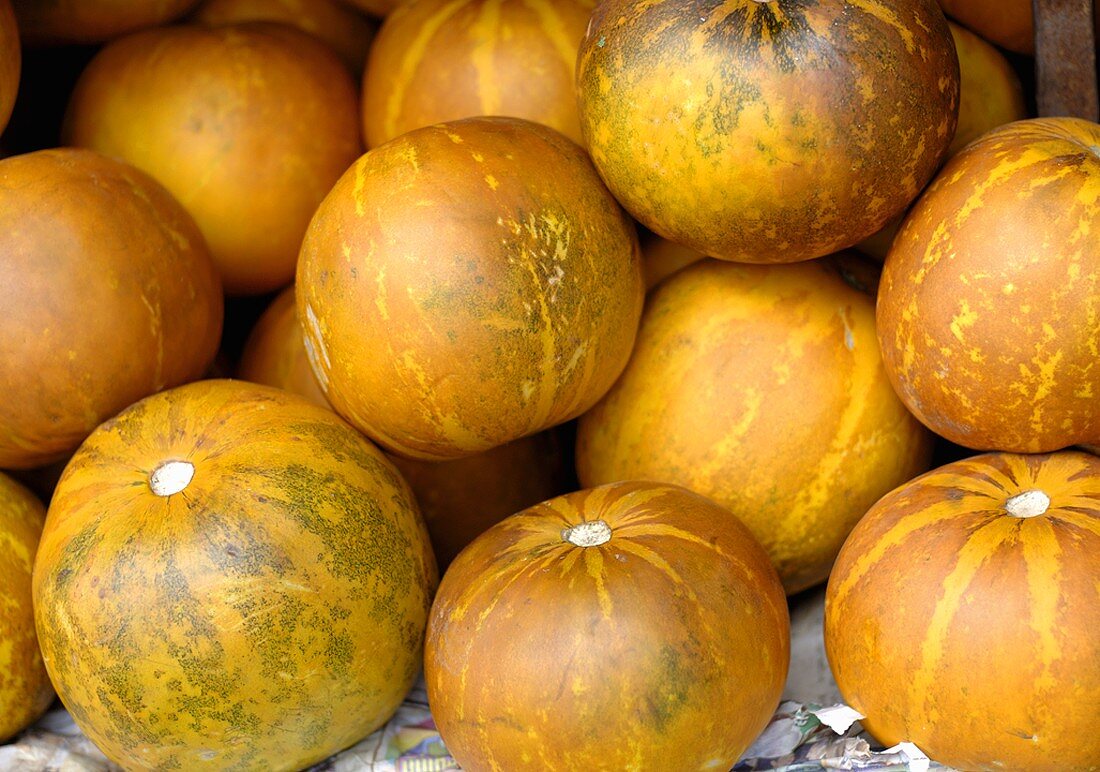 Melons (Thailand)