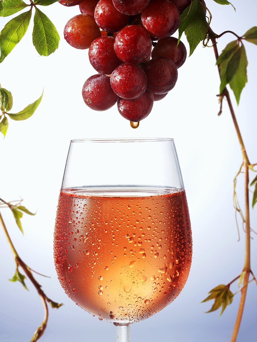 Rosewein tropft von Weintrauben in ein Weinglas