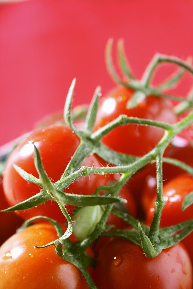 Cherry tomatoes