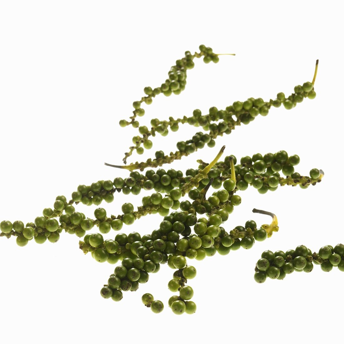 Clusters of green peppercorns