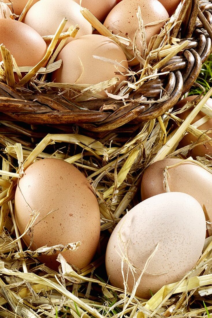 Eggs in straw and in basket