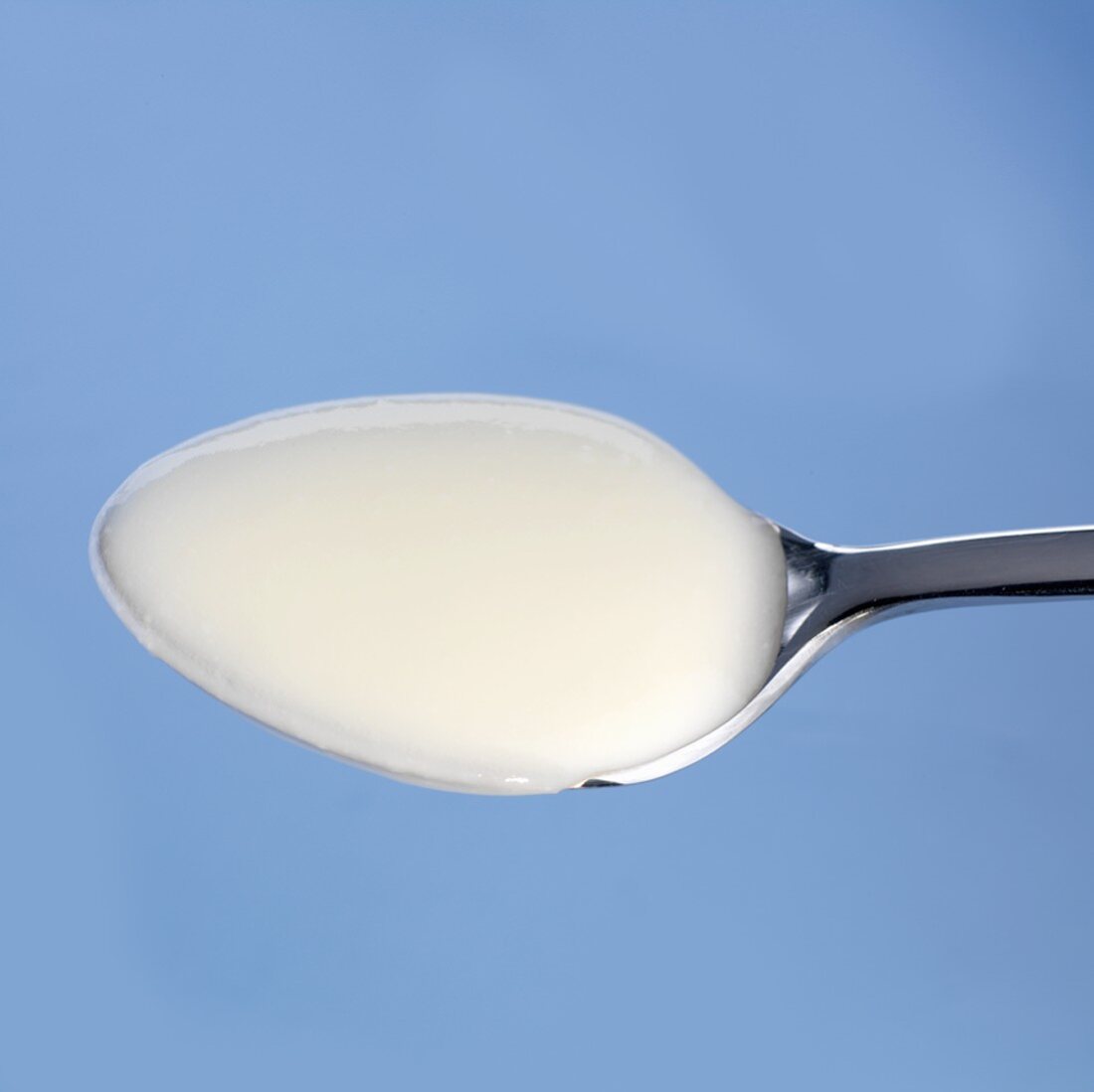 Spoonful of natural yoghurt