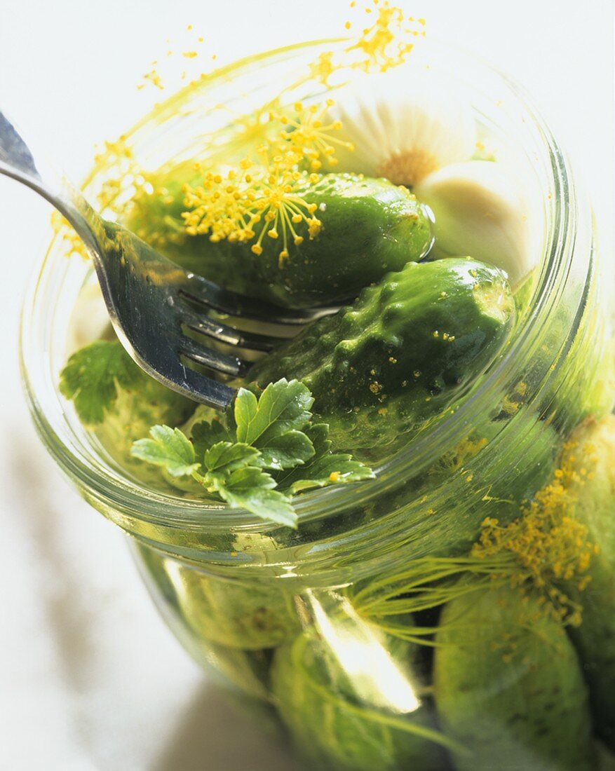 Pickled gherkins with fennel