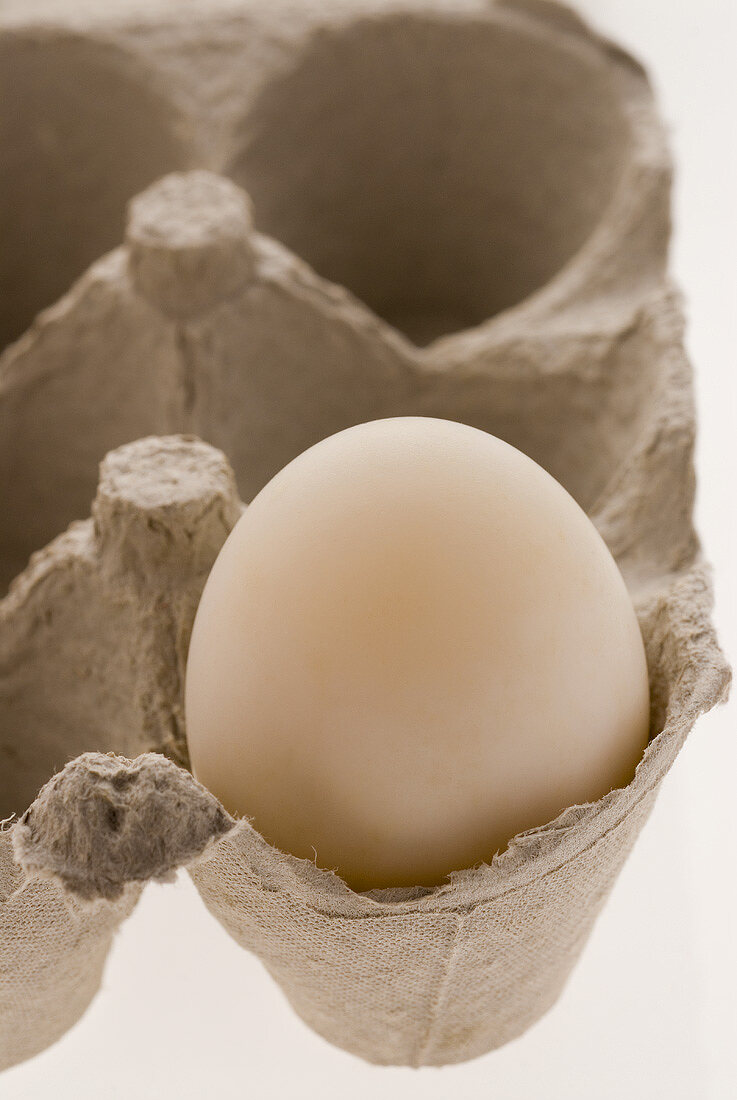 Ein Ei im Eierkarton