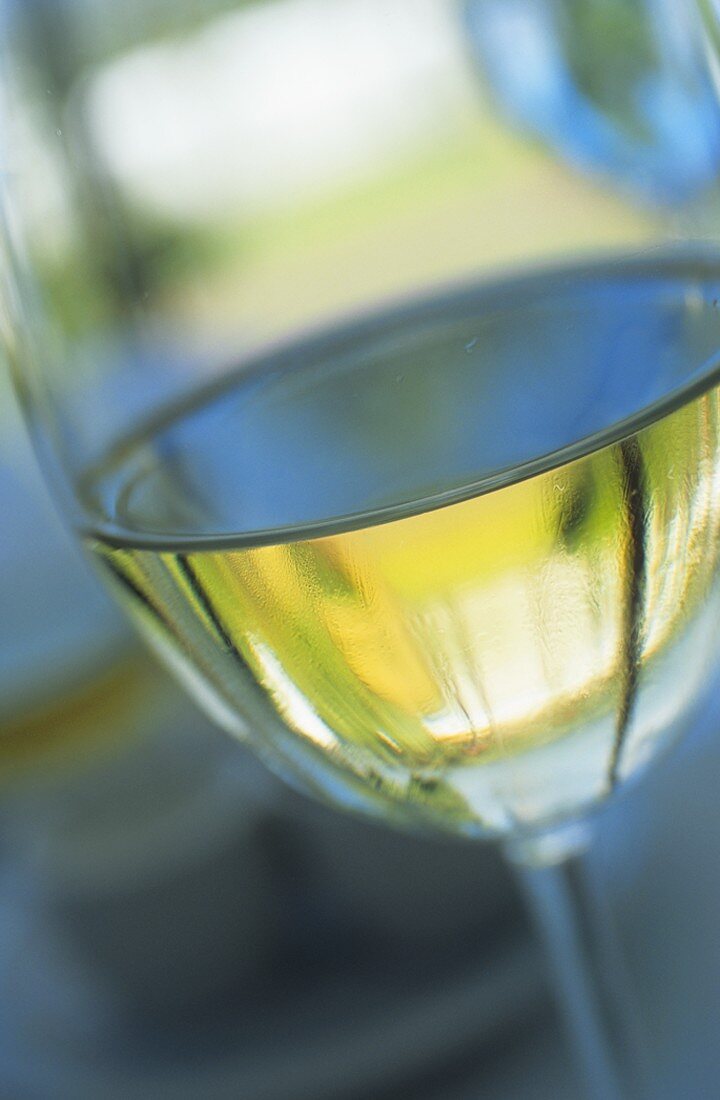 A glass of white wine