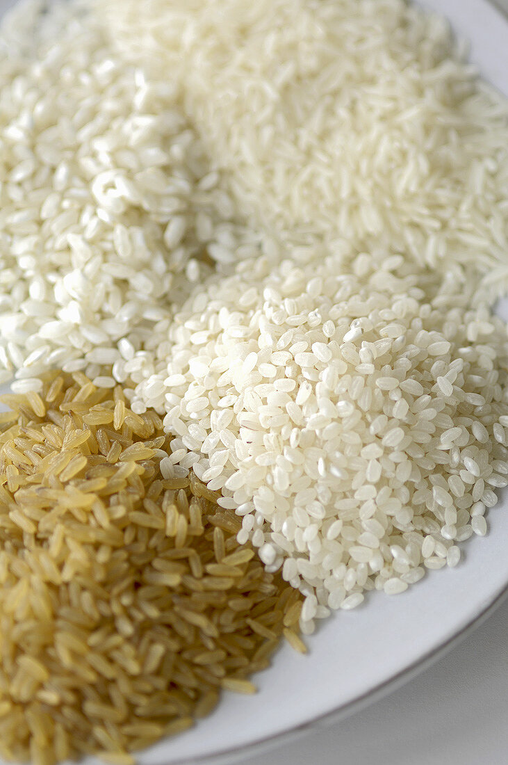 Vier verschiedene Reissorten auf einem Teller