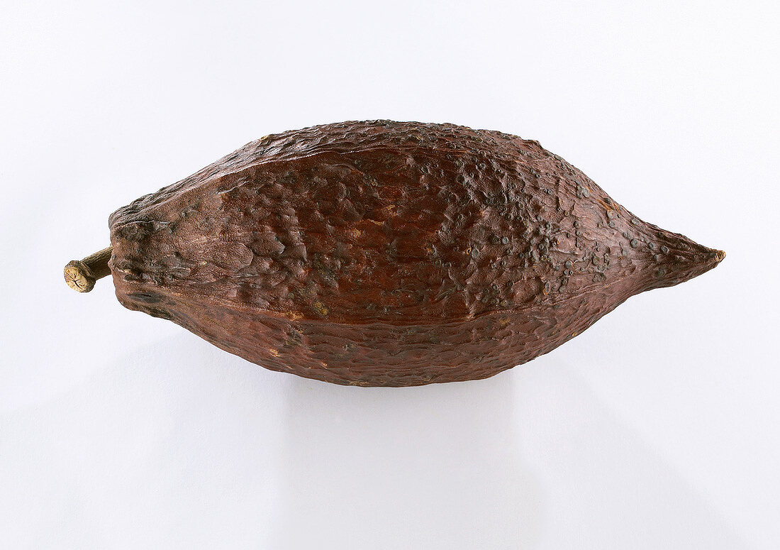 Eine Kakaofrucht