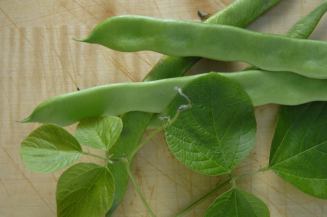 Breite Bohnen mit Blättern